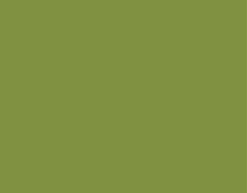 M-015 Matcha