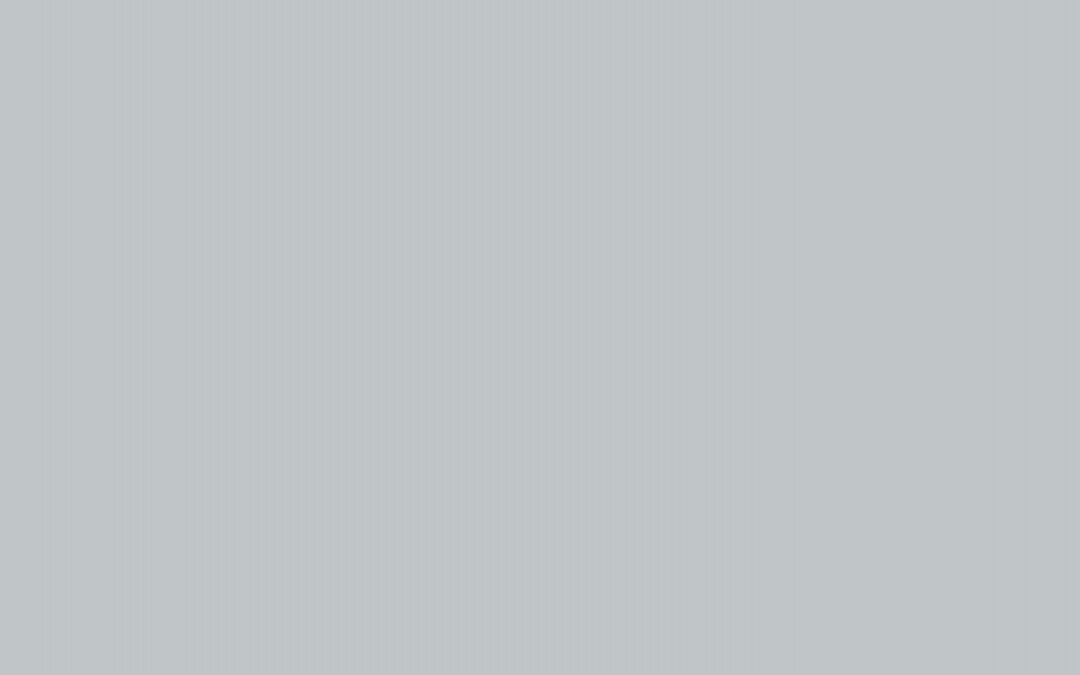 S-006 grey